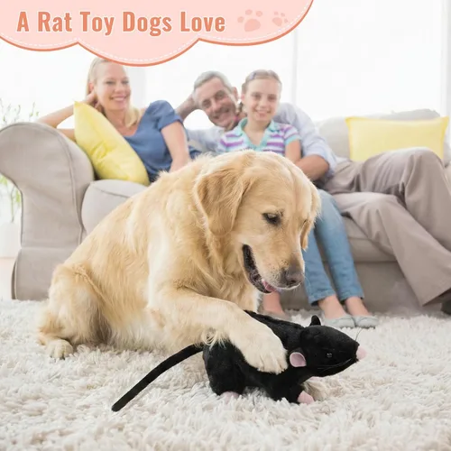 Vista 3 de Peluche realista de rata negra para gatos y perros, juguete de peluche de 12.6 pulgadas, aprendizaje STEM y regalo novedoso, peluche realista