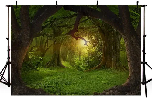 Vista 2 de MEHOFOND Telón de fondo de bosque de selva encantado de 7 x 5 pies, paisaje natural, fotografía, fondo, decoración de fiesta de cumpleaños
