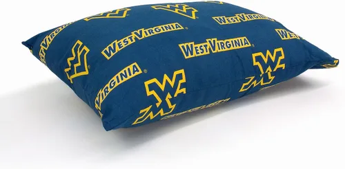 Vista 147 de Everything Comfy Arkansas Razorbacks - Par de fundas de almohada, estándar, 20 x 30 pulgadas, incluye 2 fundas de almohada
