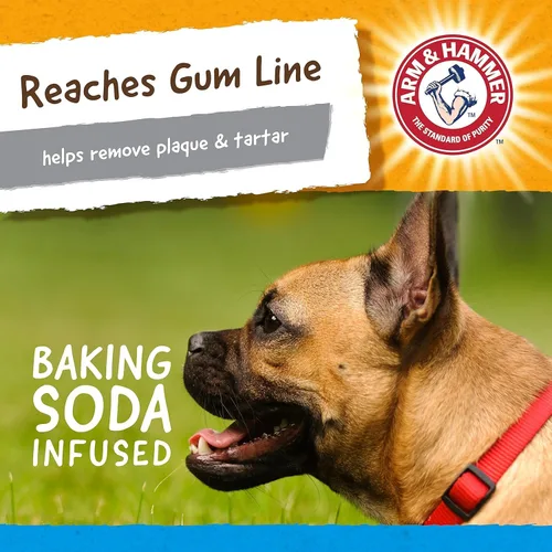 Vista 5 de Arm & Hammer Nubbies Gator - Juguete dental masticable para perros, sabor a menta, bicarbonato de sodio, con infusión de ranuras, placa de reducción