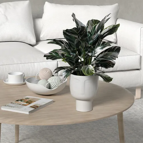 Vista 6 de Macetas para plantas de interior – Macetas altas de cerámica de riego automático de 7 pulgadas, maceta blanca mate con drenaje y maceta