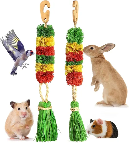 Vista 11 de Abizoo Juguetes masticables de conejillo de indias de Halloween, 3 piezas de juguetes de conejo, conejito de hámster, golosinas de madera para ratas