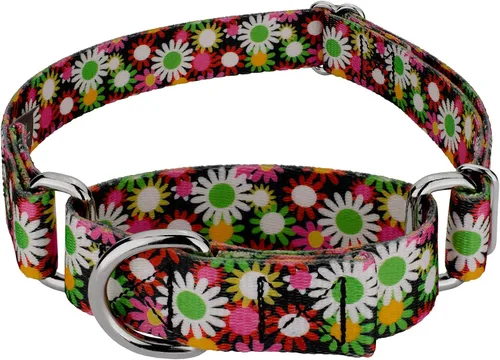 Vista 9 de Country Brook Petz - Collar de perro Martingale, collar de entrenamiento resistente, colección floral vibrante con diseños encantadores, campos