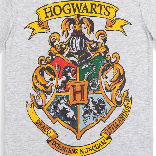 Vista 6 de Harry Potter Hogwarts - Paquete de 3 camisetas gráficas para niños pequeños, color rojo, negro y gris, talla 4T, Rojo, negro y gris.