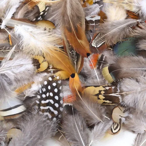 Vista 2 de Ballinger - Plumas naturales surtidas para manualidades, 180 unidades, 9 estilos Small Real Pheasant Bird Feathers for DIY Crafting,Jewelry,Dream