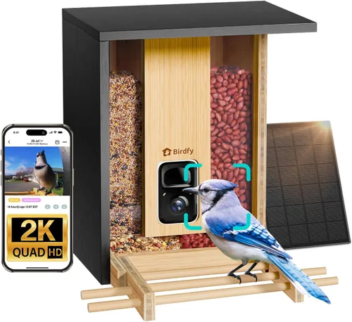 Vista 10 de NETVUE by Birdfy - Comedero inteligente para pájaros con cámara, alimentado por energía solar, vapor vivo de 2K y IA Identificación de especies