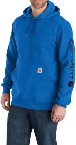 Vista 34 de Carhartt Sudadera de ajuste holgado para hombre con logotipo en la manga, de peso medio, gráfica, liquidación Terreno ámbar