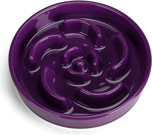 Vista 16 de Cuenco de cerámica para perros de alimentación lenta, 2 tazas de plato de Laberinto - Azul