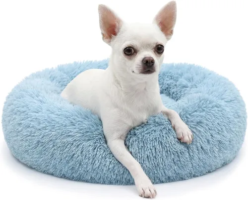 Vista 48 de Cama para perros pequeños, cama calmante para perros pequeños, antiansiedad, cama para cachorros, lavable a máquina, esponjosa, de lujo Verde militar
