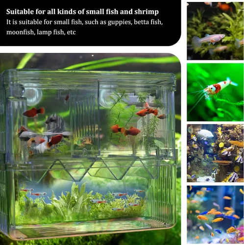 Vista 5 de WishLotus Caja de cría de peces, caja criadora suspendida para pecera con ventosas, caja de aislamiento de peces de acuario multifuncional