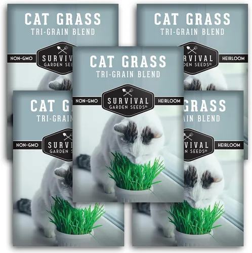 Vista 12 de Semillas de hierba para gatos para plantar, 3 paquetes con instrucciones para plantar y cultivar verduras para tu mascota en interiores o exteriores