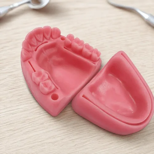 Vista 6 de Kit de práctica de sutura dental, kit de sutura oral YOUYA DENTAL para entrenamiento de sutura con corte biónico de encías oral y sutura gingival, 2