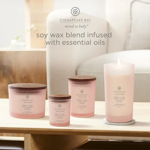 Vista 6 de Chesapeake Bay Vela perfumada Vela de aromaterapia en vaso de 3 mechas Stillness + Purity Tiempo de combustión: hasta 24 horas Colección Mind