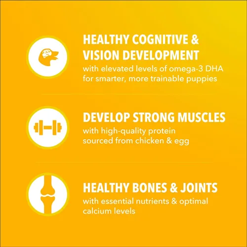 Vista 4 de IAMS Proactive Health - Alimento seco para cachorros sabor pollo, bolsa de 5 libras Omega-3 DHA for cognitive & vision development, protein from