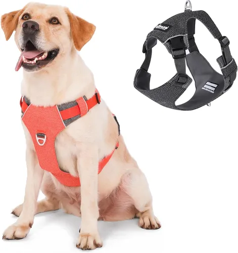 Vista 7 de LIOPARD Arnés para perro, arnés para mascotas fácil de caminar sin tirones, con 2 clips para correa, chaleco reflectante suave acolchado ajustable