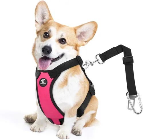 Vista 36 de VavoPaw cinturón de seguridad para perro, arnés de coche con hebilla ajustable para perro, cinturón de seguridad de nailon para mascotas, resistente