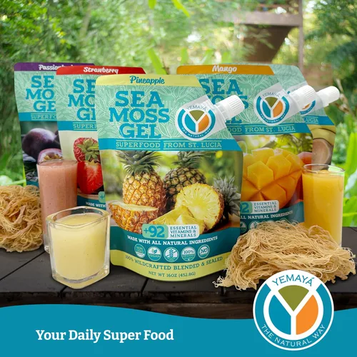Vista 5 de Yemayá - Gel orgánico de musgo marino con mango Gel de masa marina silvestre mejorado con fruta real, energía, digestión, cabello, piel y uñas
