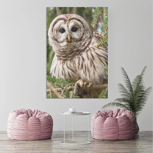 Vista 3 de Póster de lienzo con diseño de búho con diseño de pájaro con diseño de barras, decoración de dormitorio, paisaje deportivo, oficina, habitación