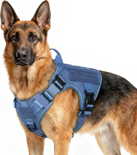 Vista 25 de rabbitgoo - Arnés táctico para perros pequeños, arnés resistente para mascotas con asa, chaleco de servicio sin tirones para razas pequeñas, chaleco