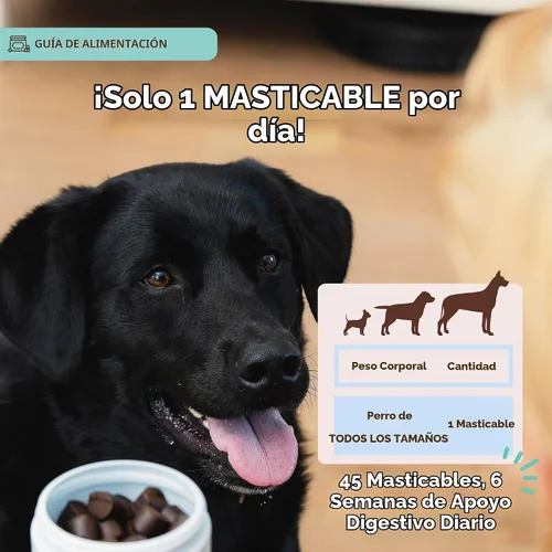 Vista 7 de Natural Dog Company - Masticables probióticos para perros, 45 unidades, suministro para 6 semanas