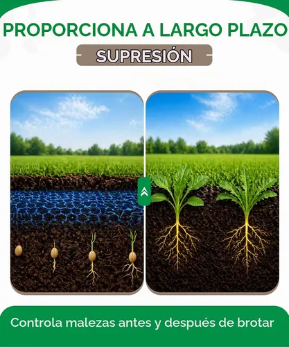 Vista 5 de Alligare Diuron 80 DF Herbicida – Herbicida pre y posemergente para áreas industriales y no cultivadas – Controla hierba de cangrejo, raigrás