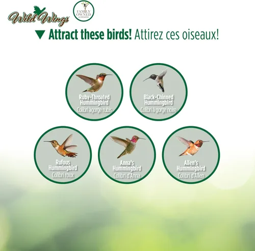 Vista 6 de Wild Wings WWGHF1 - Comedero para colibrí, color azul