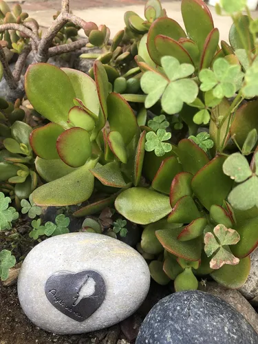 Vista 6 de Regalo de recuerdo de condolencias – Los ángeles están cerca – Placa de peltre sobre una piedra de río – Bonita adición a un jardín conmemorativo