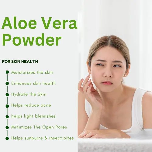 Vista 4 de Aloe Vera en polvo orgánico – 227 g (8 oz) Aloe Vera en polvo para cabello y cara Aloe Barbadensis AloeVera, cuidado natural del cabello