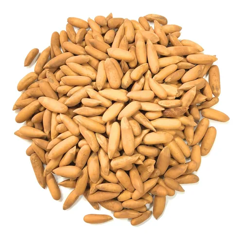 Vista 3 de Dry Fruit Hub Piñones con cáscara 100gms Chilgoza Fruta seca Piñones Chilgoza