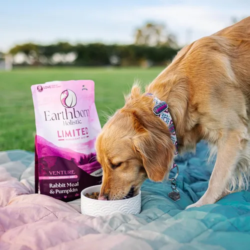 Vista 7 de Venture - Alimento seco para perros sin granos con ingredientes limitados