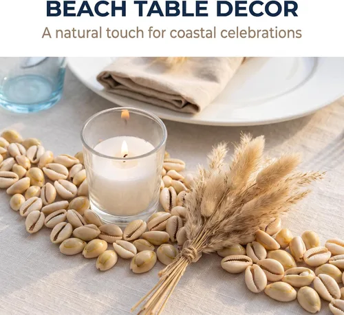 Vista 5 de 100 cuentas de conchas de cauri naturales blancas y Lvory ovaladas para playa, conchas africanas para hacer joyas para el cabello, manualidades