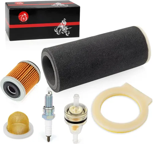Vista 5 de Filtro de aire espuma y bujía + colador de aceite + filtro de aceite para Yamaha Warrior 350 Raptor 350 Wolverine 350 1987-2013 1UY-14451-00-00