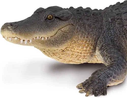 Vista 5 de Safari Ltd. Figura de cocodrilo – Figura detallada de caimán de plástico de 10.5 pulgadas – Divertido juguete educativo para niños, niñas y niños a