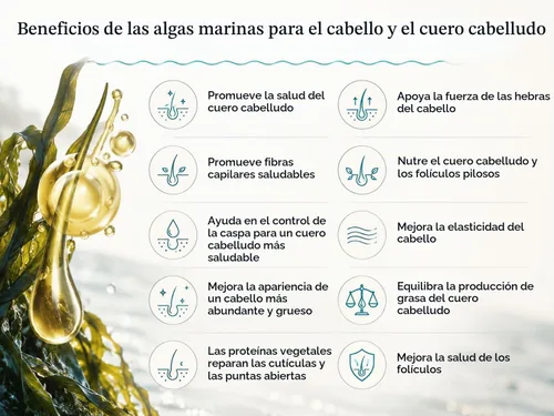 Vista 7 de Mascarilla capilar con vitamina y acondicionador profundo con aceite de coco orgánico - Restaura los daños secos - Repara el daño - reduce