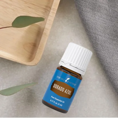 Vista 3 de Dorado Azul de 0.2 fl oz por Young Living - 100% puro y de grado premium - Aceite esencial calmante para la piel - Aromaterapia con infusión