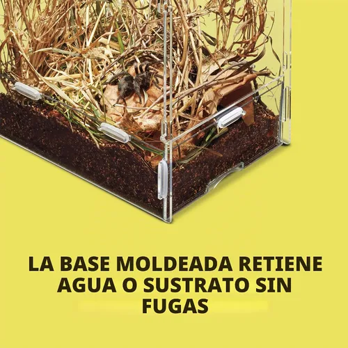 Vista 6 de Zilla Micro Hábitat Terrario, Arrbóreo, con Pestillo de Bloqueo, para Isópodos, Arañas, Insectos, Pequeño