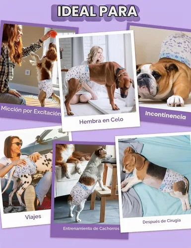 Vista 7 de MICOOYO Pañales Desechables para Perras, Pañales para Perras, Pañal para Mascotas Súper Absorbente con Agujero de Cola de Espuma para el Celo, Pañal