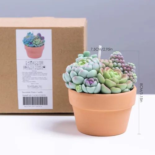 Vista 2 de Surtido suculento Pot vela perfumada para spa decoración del hogar regalo de boda