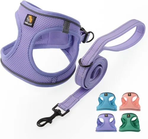 Vista 15 de BELLA & PAL Arnés de chaleco con entrada por pasos para perros pequeños y medianos, arnés para perros pequeños sin tirones con juego de correa
