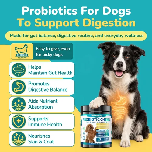 Vista 10 de Woyamay Probióticos para perros, probióticos masticables para perros, apoyo intestinal y digestivo
