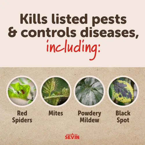 Vista 10 de Sevin 100547227 Polvo de azufre 1.25 libras, etiqueta blanca Control 2 en 1 de enfermedades e insectos, polvo o aerosol, para rosas, cítricos