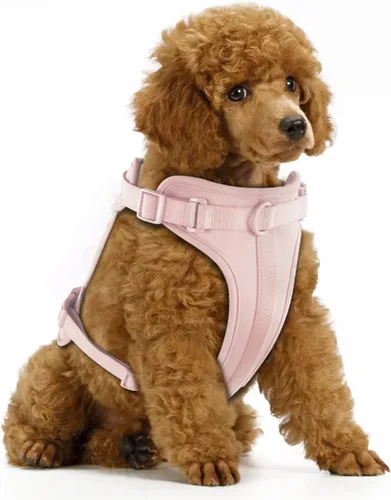 Vista 23 de Wisedog Arnés Ligero Sin Tirones para Perro: Arnés de Chaleco de Malla Transpirable Ajustable para Mascotas con Cojín Suave y Cómodo, para Perros