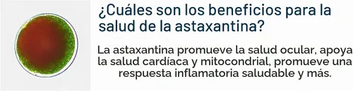 Vista 4 de Life Extension MacuGuard Ocular Support 90 cápsulas blandas con azafrán y astaxantina