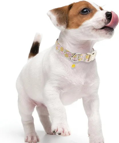 Vista 6 de Faygarsle - Collar floral para perras, diseño de primavera de verano rosa y amarillo, para perros pequeños, medianos y grandes, XS Flor Amarilla