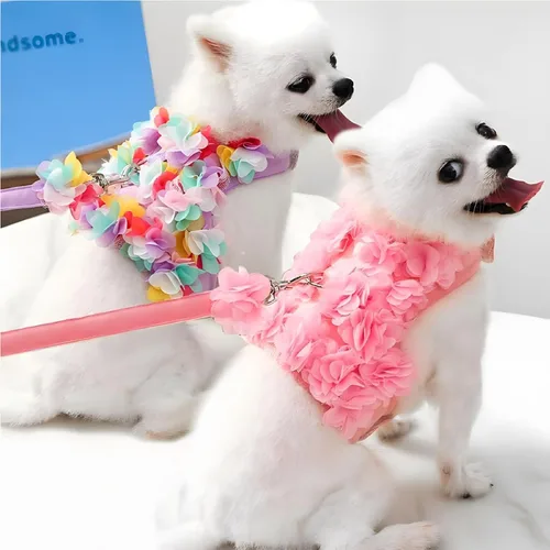 Vista 6 de Arnés de flores para perro, chaleco de despertar, arnés con correa para mascotas y velcro para Halloween, gato, cachorro (XS)