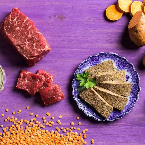 Vista 2 de Fromm Four-Star Nutritionals - Comida húmeda de primera calidad en paté de carne y venado para gatos, receta de carne de res, caja de (12) latas