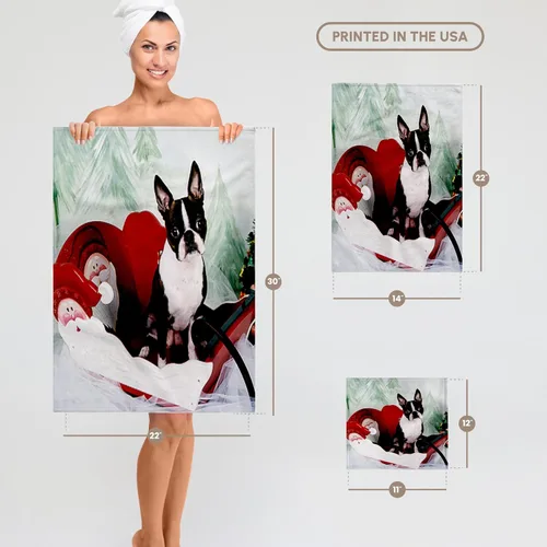 Vista 6 de 3dRose Dogs Boston Terrier – Molly – Boston Terrier – Toalla