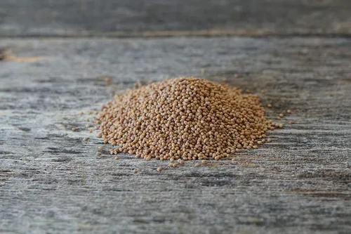 Vista 3 de Hale Habitat & Seed Semilla de parcela de comida de trébol carmesí, 5 libras