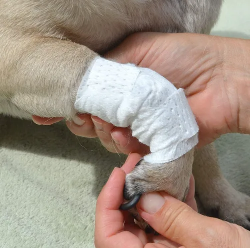 Vista 5 de PawFlex Vendajes para heridas articulares y de área grande para perros, gatos y otras mascotas. Ideal para esguinces de articulaciones de piernas
