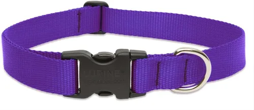 Vista 12 de Collar antipulgas ajustable para perros pequeños y grandes LupinePet de 1 pulgada, Negro
